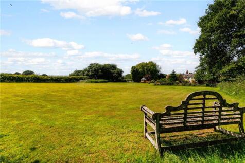 Views Of The Paddock