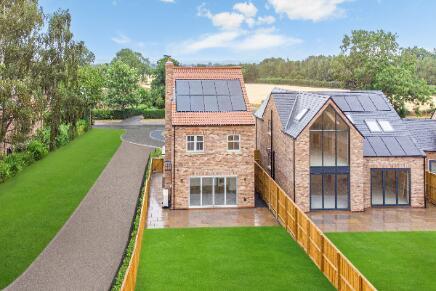 plot1