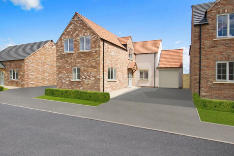 plot8front