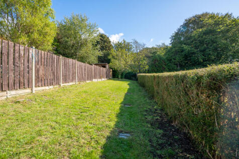 back garden
