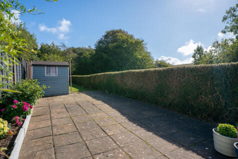 back garden