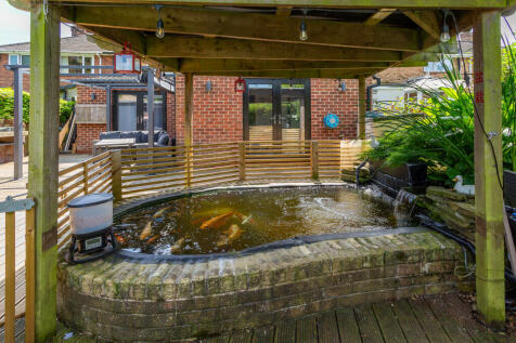 pond