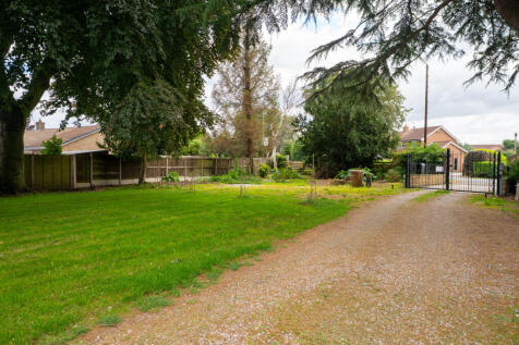 beechgrove41