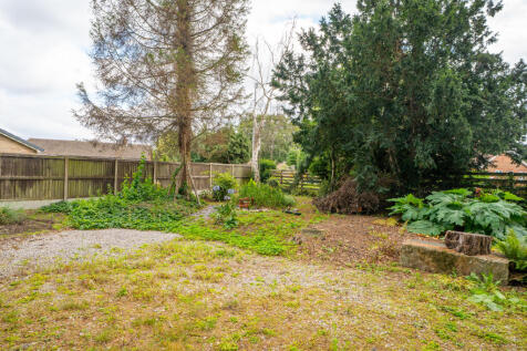 beechgrove43