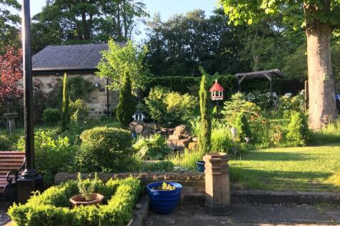 garden1