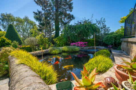 pond1