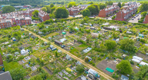 lumleydrone4
