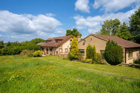 4wildgrove61