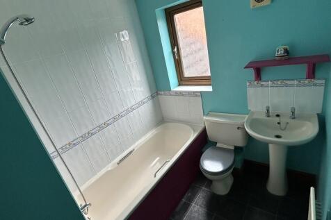 image3 (38)