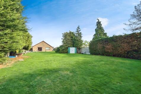 1abfa5b6-WhatsApp...