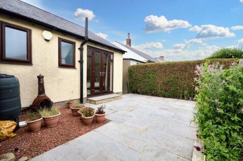 Rear courtyard garden