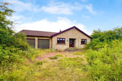 External pic 1