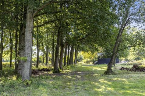 Woodland