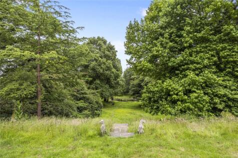 Wooded Garden