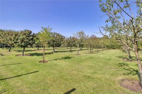 Orchard
