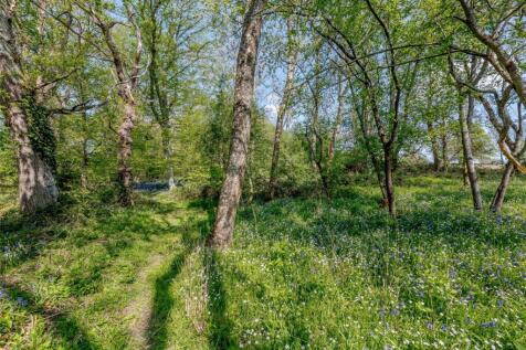 Woodland