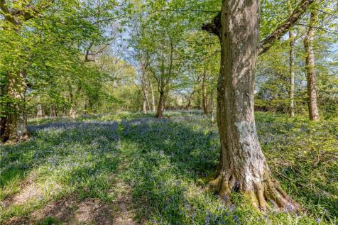 Woodland