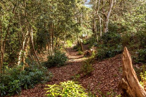 Woodland