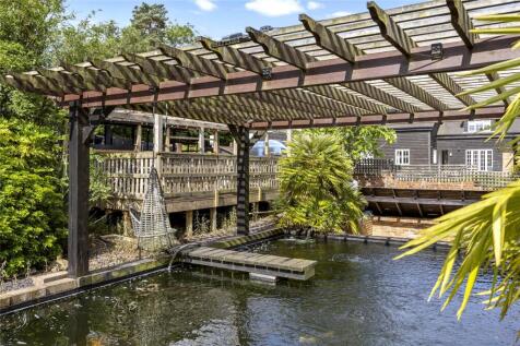 Carp Pond