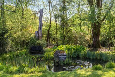 Pond