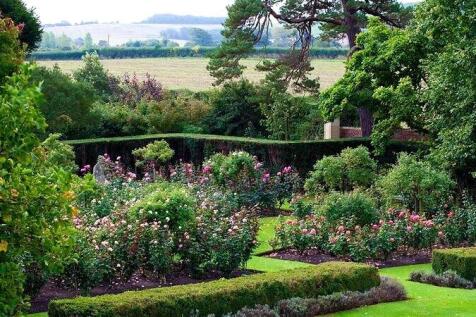 Rose Garden