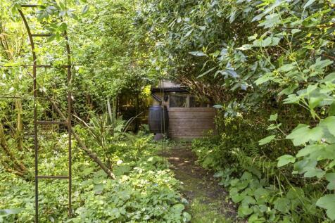 Wooded Area