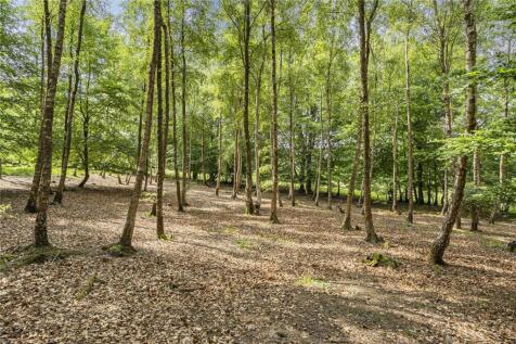 Woodland