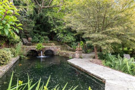 Koi Carp Pond