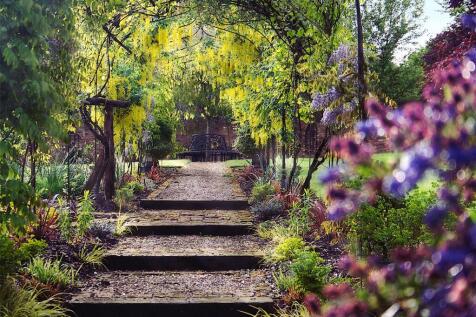 Garden Detail