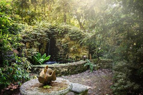 Woodland Garden