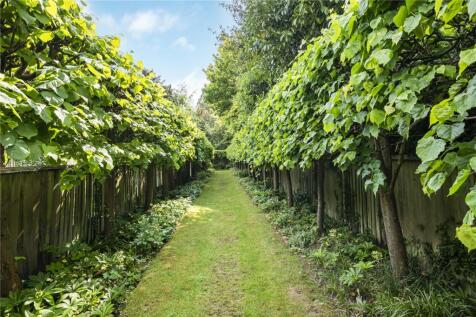 Lime Tree Avenue