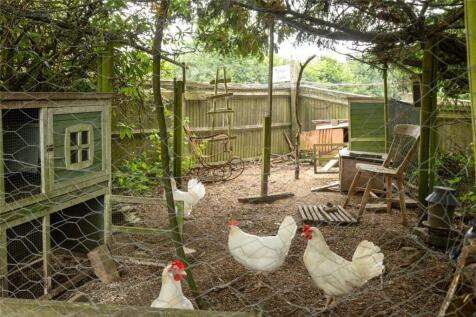 Chicken Coop