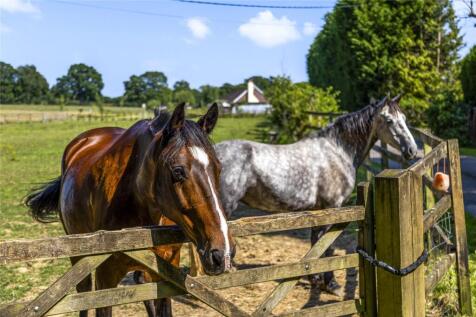 Paddocks