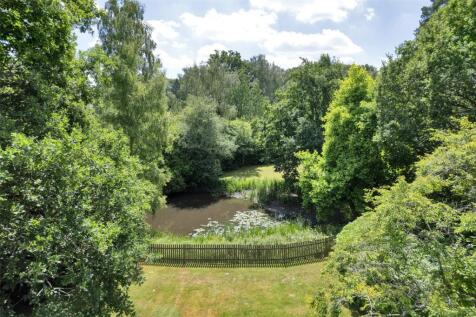 Tree-Lined Pond