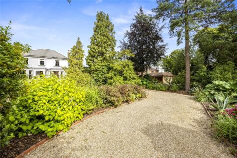 Sweeping Driveway