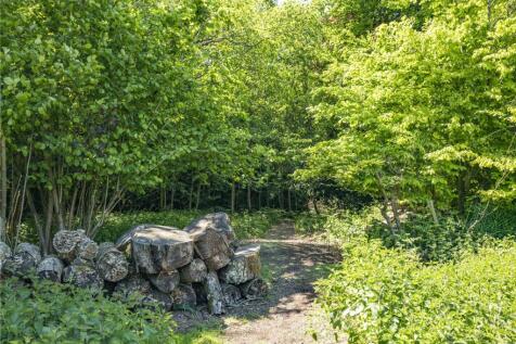 Woodland