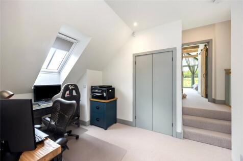 Study Area