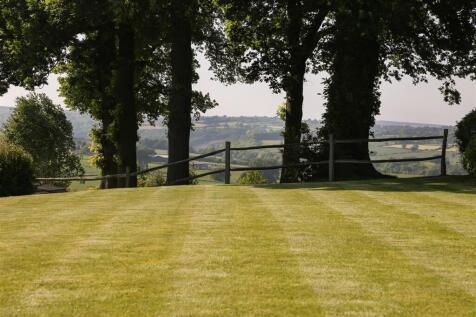 Garden6.jpg