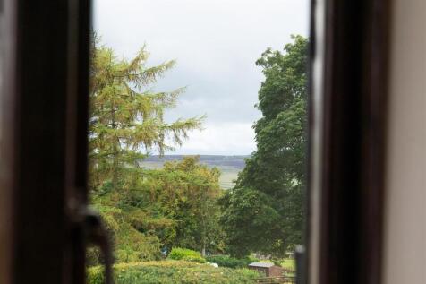 Window View.jpg