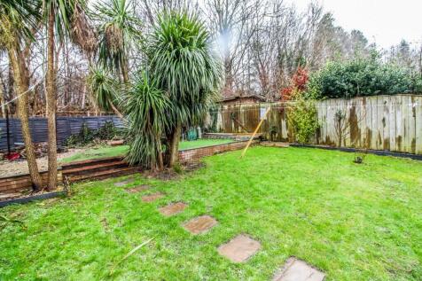 Garden Pic 2