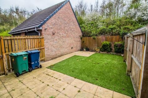 Back Garden. 