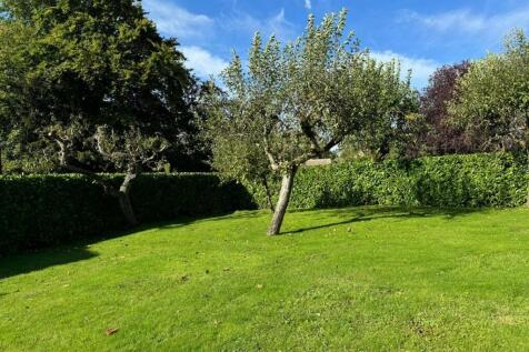 Garden.jpg