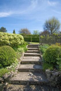 250428Pennings-1010.jpg