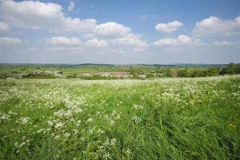 250502SchoolHouseFarm-1017.jpg