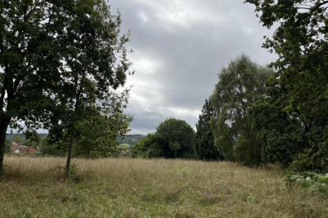IMG_4972.jpeg