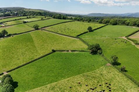 The Land