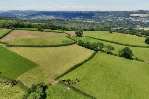 The Land