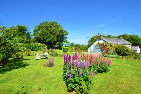 The Garden