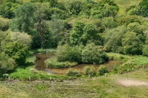 Wildlife Pond