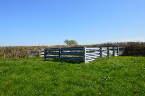 Livestock Handling Pen